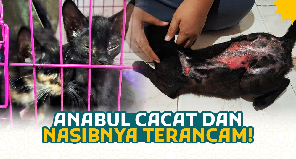 Cahaya Peduli