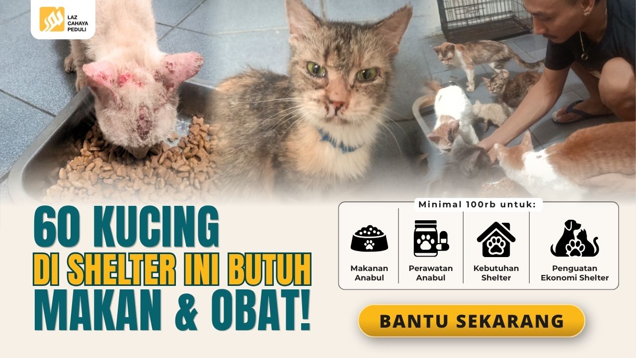 Cahaya Peduli